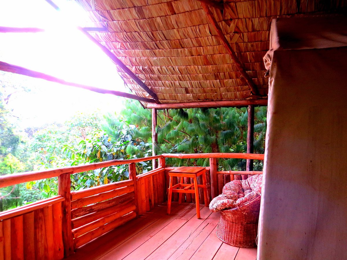 Kibale Forest Camp